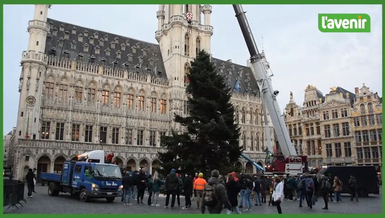 Installation du sapin de Noël sur la Grand-Place de Bruxelles