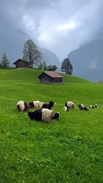 nature
