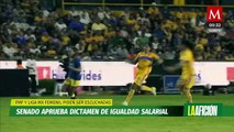 Aprueban dictamen de salario base, pese a petición de frenado de la Liga MX Femenil