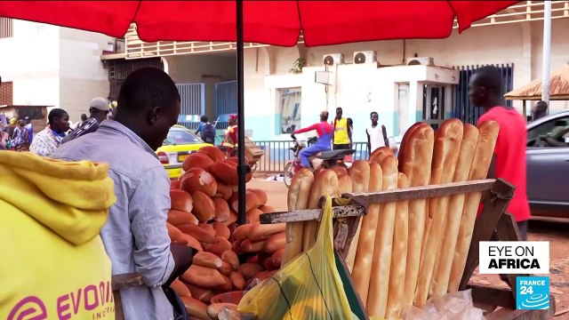 UN backs extension of Central African Republic peacekeeping mission