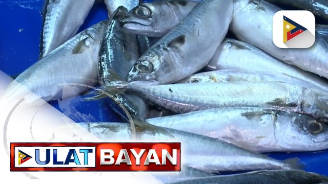 Closed fishing season, ipinatutupad sa Northern Palawan, Zamboanga Peninsula, at Visayan sea