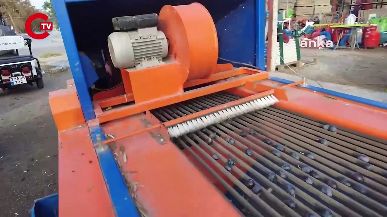 Ziraat mühendisi tüketicileri uyardı! Hileli zeytinyağına dikkat...