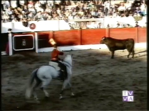 TARDE DE TOROS-GINES CARTAGENA-JOSE MIGUEL CALLEJON-1ª CORRIDA DE LA Fª EN HONOR A S. MIGUELY S. JERONIMO DE OLMEDO-30.09.95
