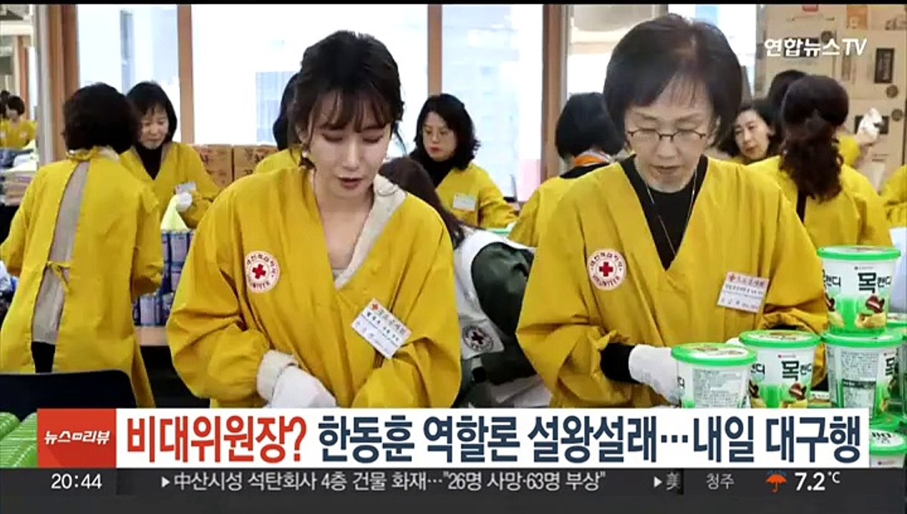 '비대위원장? 출마?' 여권서 한동훈 역할론 설왕설래…내일 대구행