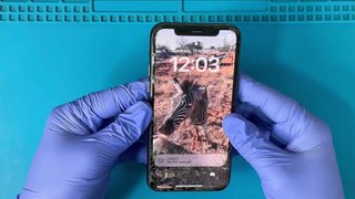 Iphone 11 Pro Screen Replacement