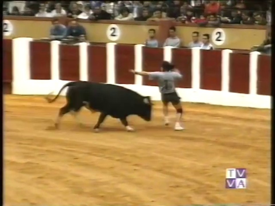 II CONCURSO DE CORTES-CIUDAD DE VALLADOLID-16.09.95