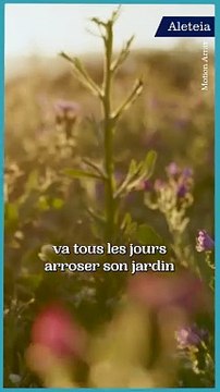 Nos fragilités fleurissent là où l'on ne s'y attend pas !