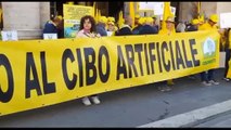 Coldiretti in piazza a Roma per sostenere legge contro cibo sintetico