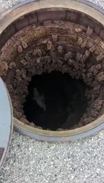 La femme qui a soulevé le couvercle des égouts a rencontré des centaines de chauves-souris