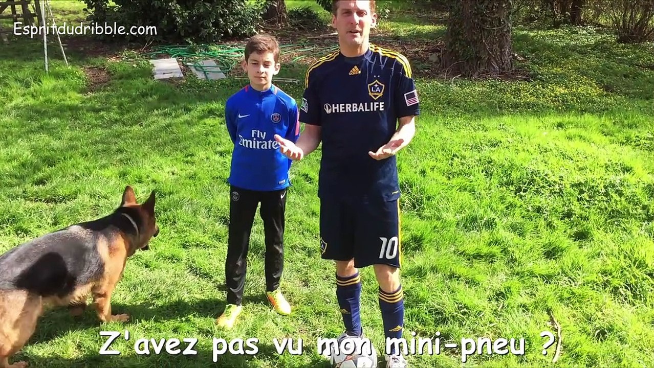 Short "Stop an Go" avec chien rigolo