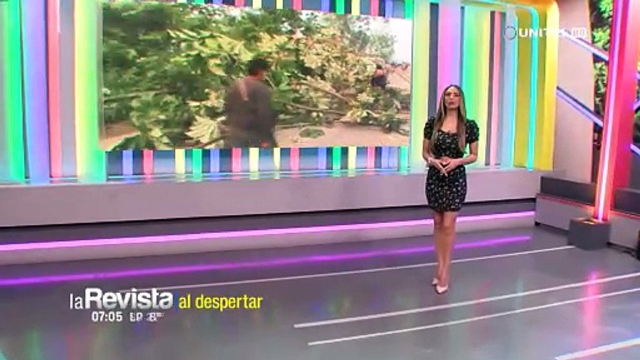 Exigiendo una planta de lácteos, productores lecheros instalan otro punto de bloqueo en la ruta Cochabamba – Santa Cruz