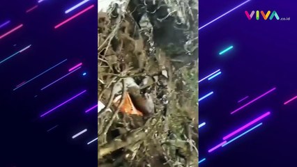 Dua Pesawat TNI AU Jatuh dan Meledak di Pasuruan