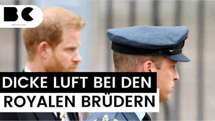 William und Harry: Verhältnis wohl irreparabel geschädigt
