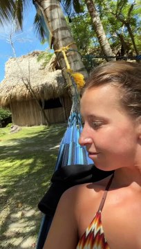 Le singe veut juste faire des câlins