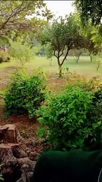 Video: ताजमहल गार्डन परिसर में CISF के सामने युवक ने पढ़ी नमाज, वीडियो हो रहा वायरल