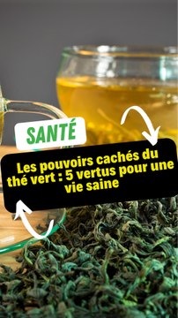 Les pouvoirs cachés du thé vert : 3 vertus pour une vie saine