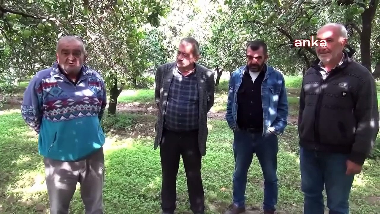 Producteur d'agrumes de Nazilli： ＂La récolte est en avance, mais le fermier est très anxieux＂
