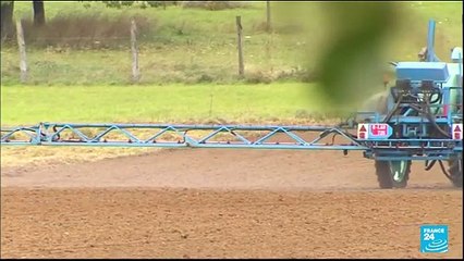 Outcry from environmental groups as Europe renews glyphosate approval