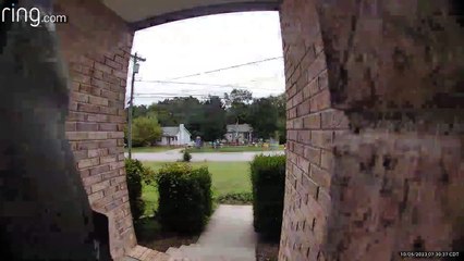 Spider Spooks Man sur le chemin du travail