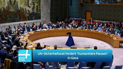 UN-Sicherheitsrat fordert "humanitäre Pausen" in Gaza
