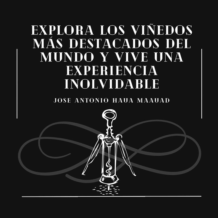 Jose Antonio Haua Maauad:  Explora los viñedos más destacados del mundo y vive una experiencia inolvidable