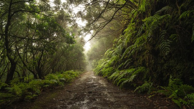 I’m A Celeb: Campmates to take extra precautions as more venomous creatures reported ahead of show