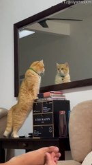 Quand vous trouvez enfin celui qui a mangé toute votre nourriture