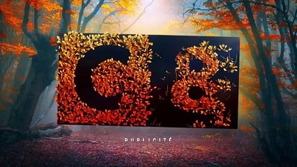 Envie d'agir - 19 novembre