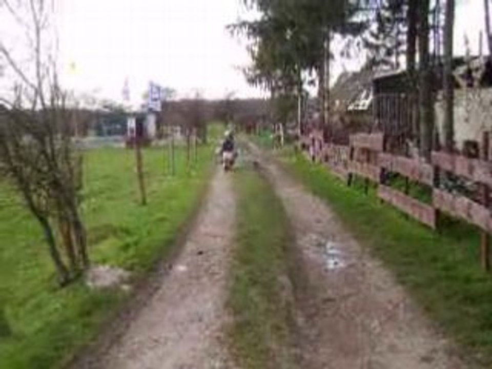 IMGP1788