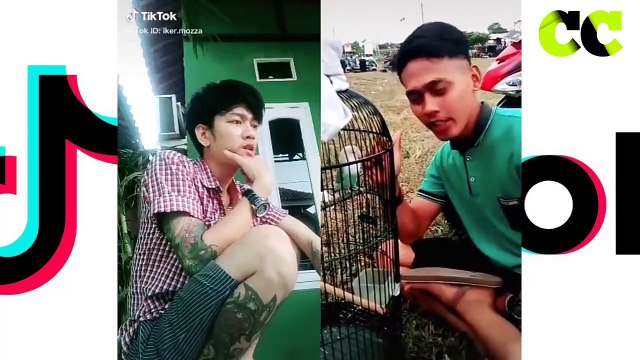 Kocak Abis! Tik Tok Lucu