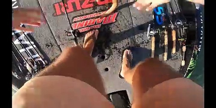 Dog Jumps In After Fish