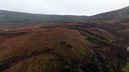Snaizeholme new woodlands research