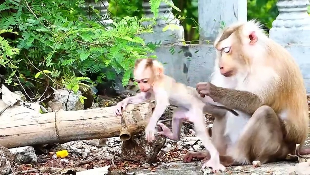 Brave For Mother Rozy Who Provides Her Best To Take Cares Of Baby Rockstar