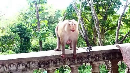 Brother Rocky Comes So Often To Welcome Youngest Brother Rockstar