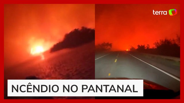 Pantanal em chamas: incêndios atingem vegetação e acendem alerta