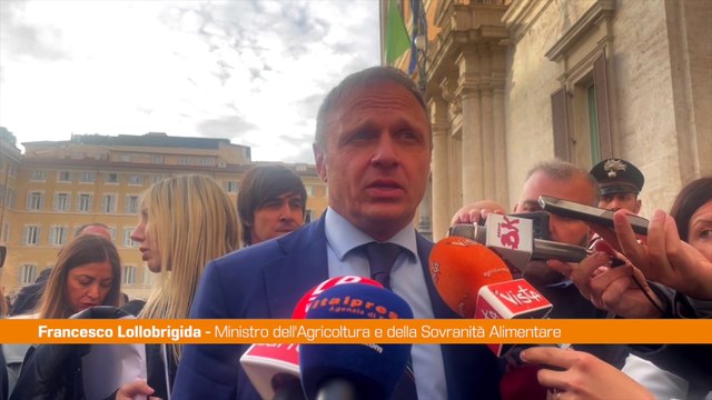 Carne coltivata, Lollobrigida Siamo ottimisti, Italia non è più sola