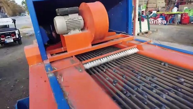 Ziraat mühendisi sahte zeytinyağına karşı uyardı