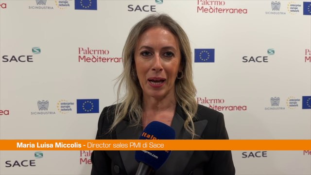 Miccolis Da Sace nel 2023 sostegno a 1300 aziende siciliane