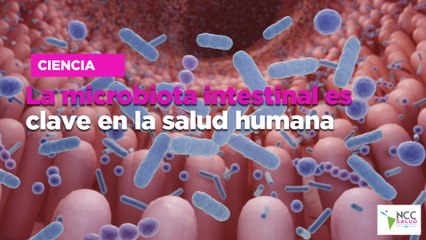 La microbiota intestinal es clave en la salud humana