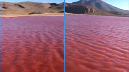 El río Nilo NO se tiñó de rojo: imágenes virales corresponden a otro lugar del planeta