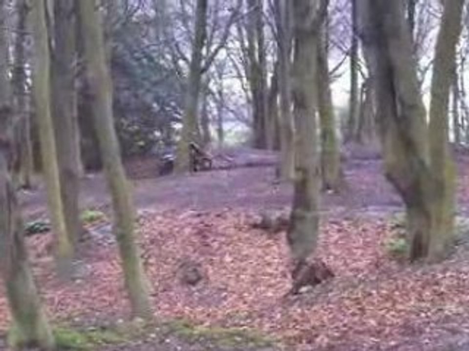 125rm 450wrf petit saut au terrain