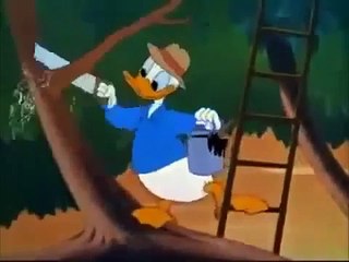 Donald Duck Out On A Limb Full Episodes