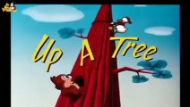 ᴴᴰ Pato Donald y Chip y Dale dibujos animados - Pluto, Mickey Mouse Episodios Completos Nuevo 2018-31