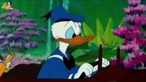 ᴴᴰ Pato Donald y Chip y Dale dibujos animados - Pluto, Mickey Mouse Episodios Completos Nuevo 2018-22