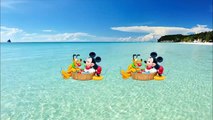 ᴴᴰ Pato Donald y Chip y Dale dibujos animados - Pluto, Mickey Mouse Episodios Completos Nuevo 2019-2