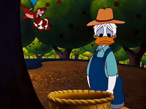 Donald Applecore 1952