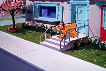 Cartoons For Kids  Pluto   Pluto 's Purchase