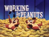 Disneychannel  Donald Duck   Working for Peanuts