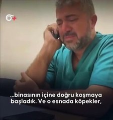 Gazzeli doktor korkunç olayı anlattı! 'Köpekler şehitlerimizi yemeye başladı'