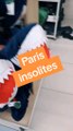 Je te fais visiter des boutiques insolites